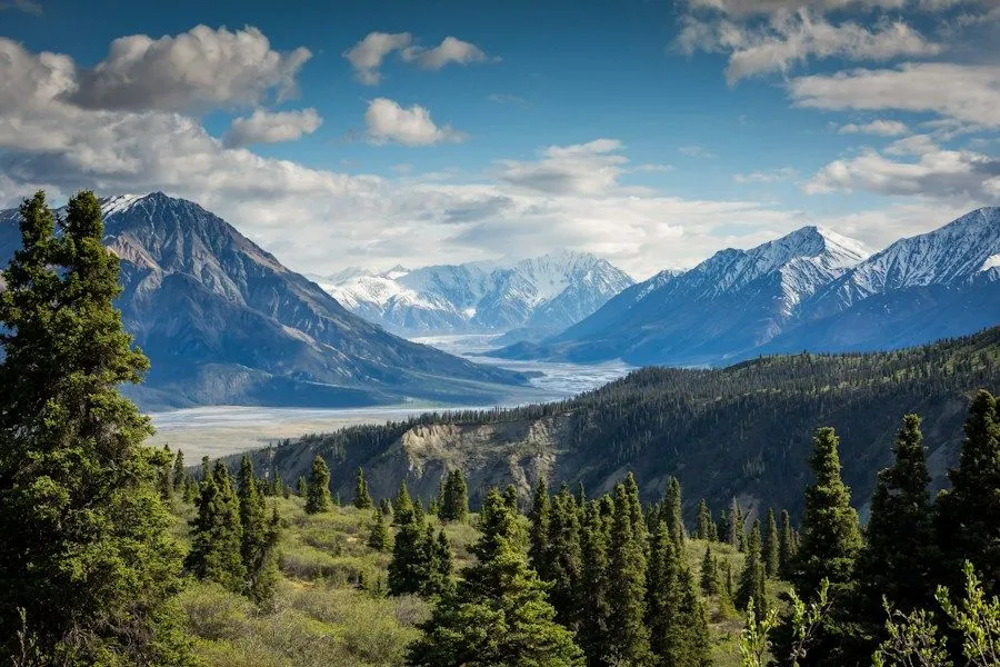 Mountain range rising above a forested valley
