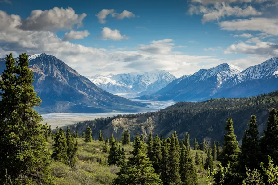Mountain range rising above a forested valley